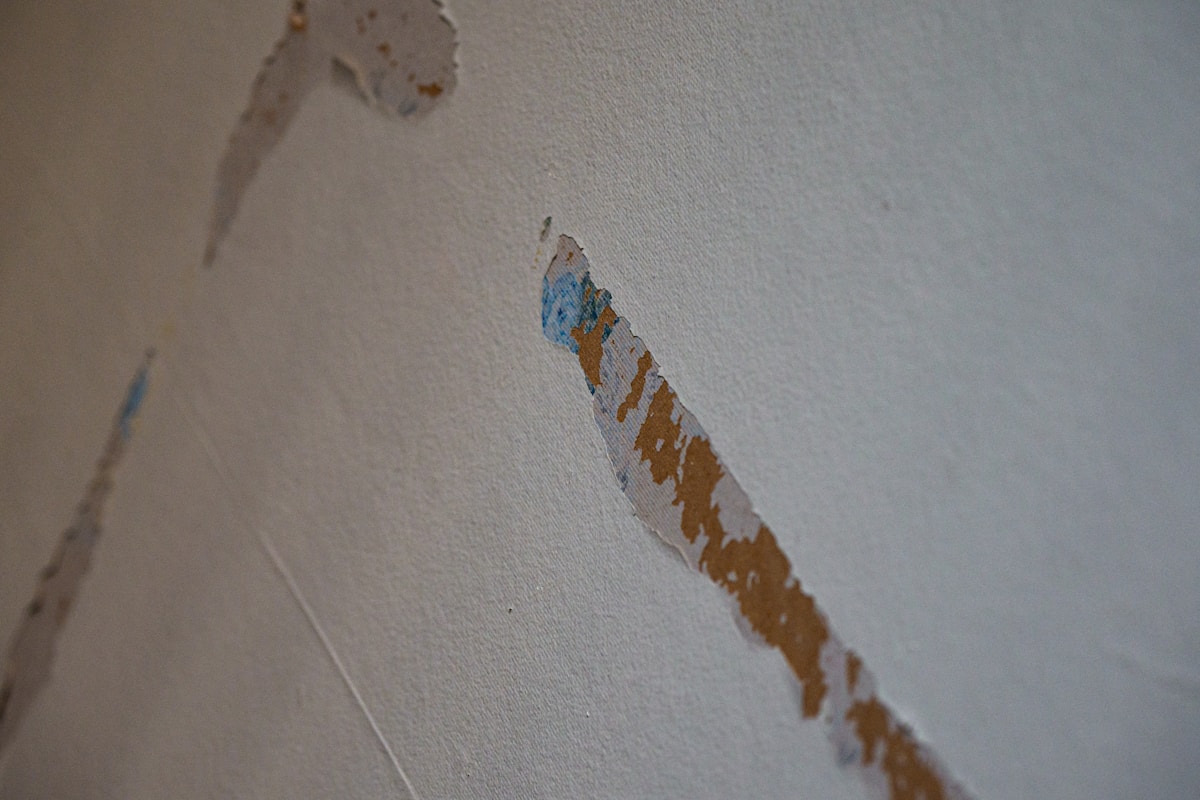 Sewage Cleanup service in Reno, NV